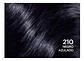 Tintura Casting Creme Gloss 210 Negro Azulado L'oréal 210 Nego Azulado - Miniatura 2
