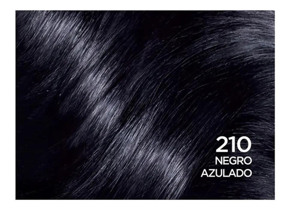 Tintura Casting Creme Gloss 210 Negro Azulado L'oréal 210 Nego Azulado 2