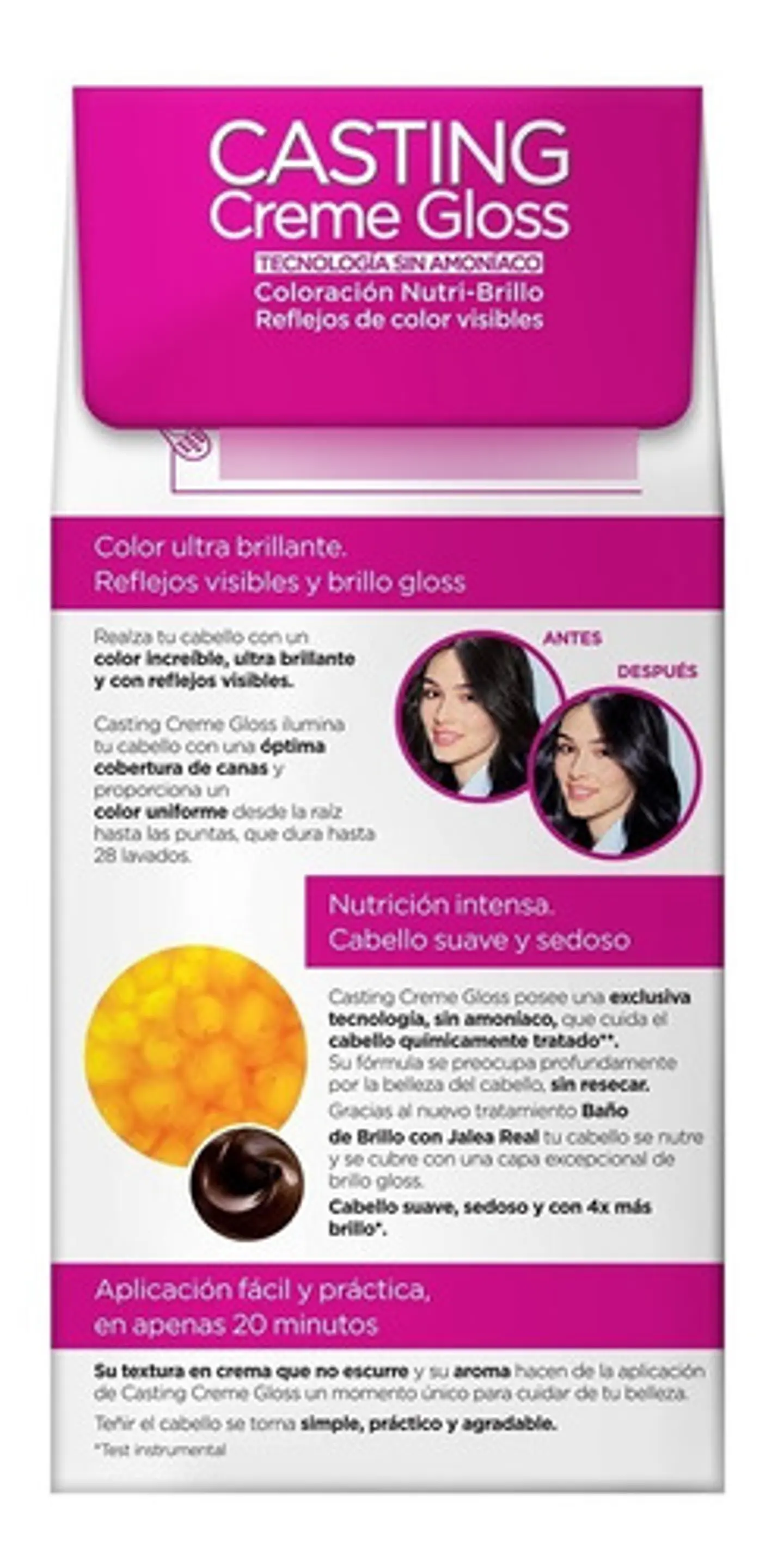 Tintura Casting Creme Gloss 210 Negro Azulado L'oréal 210 Nego Azulado 4