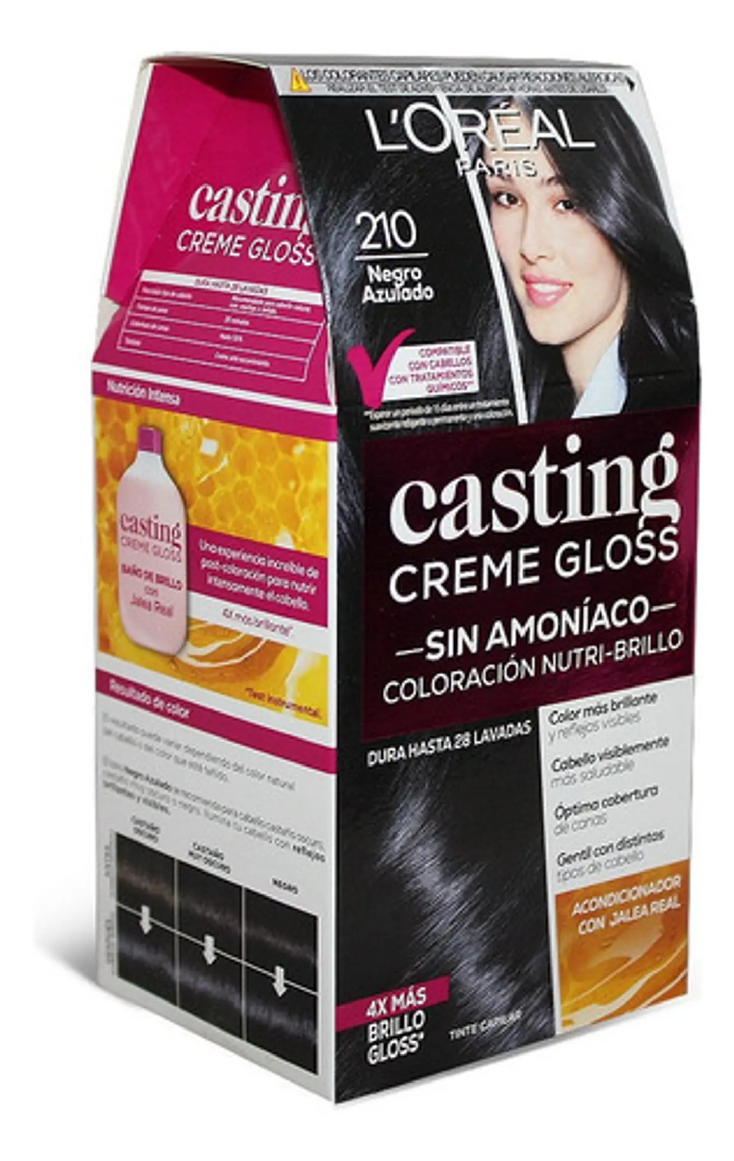 Tintura Casting Creme Gloss 210 Negro Azulado L'oréal 210 Nego Azulado 6