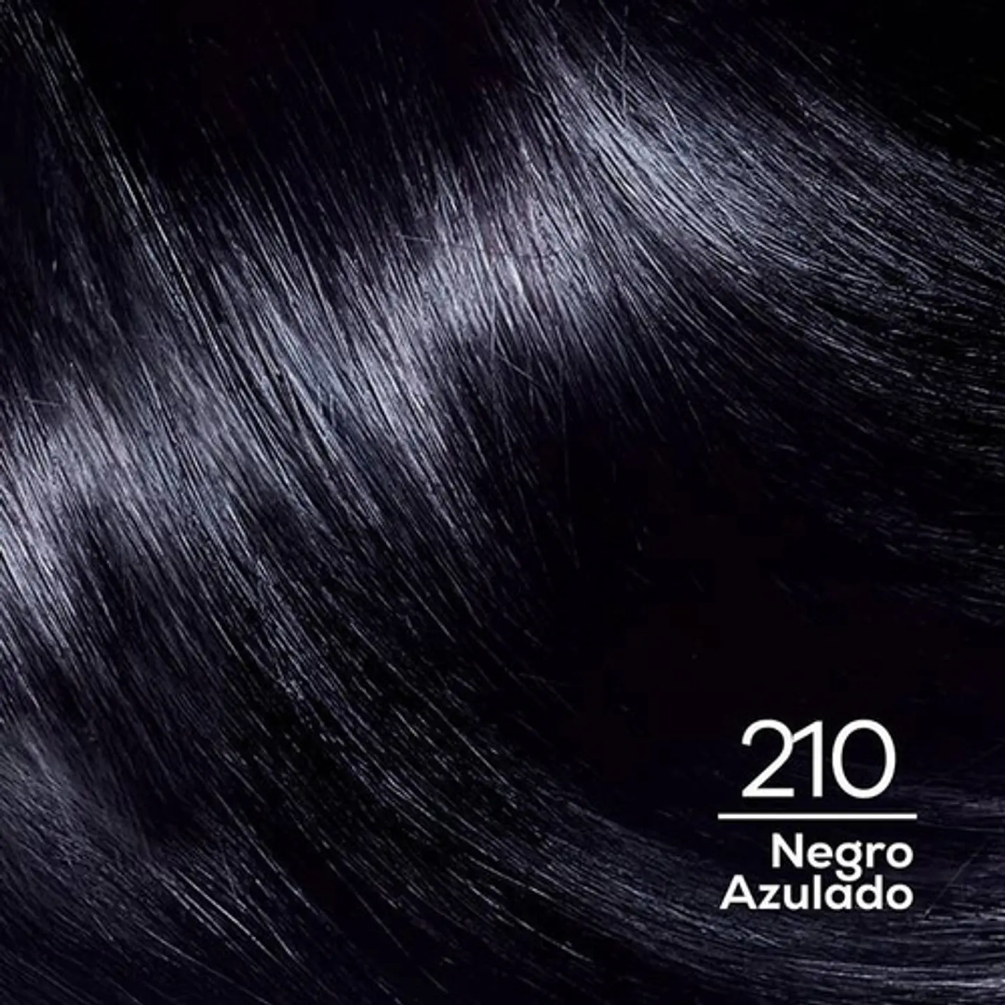 Tintura Casting Creme Gloss 210 Negro Azulado L'oréal 210 Nego Azulado 7