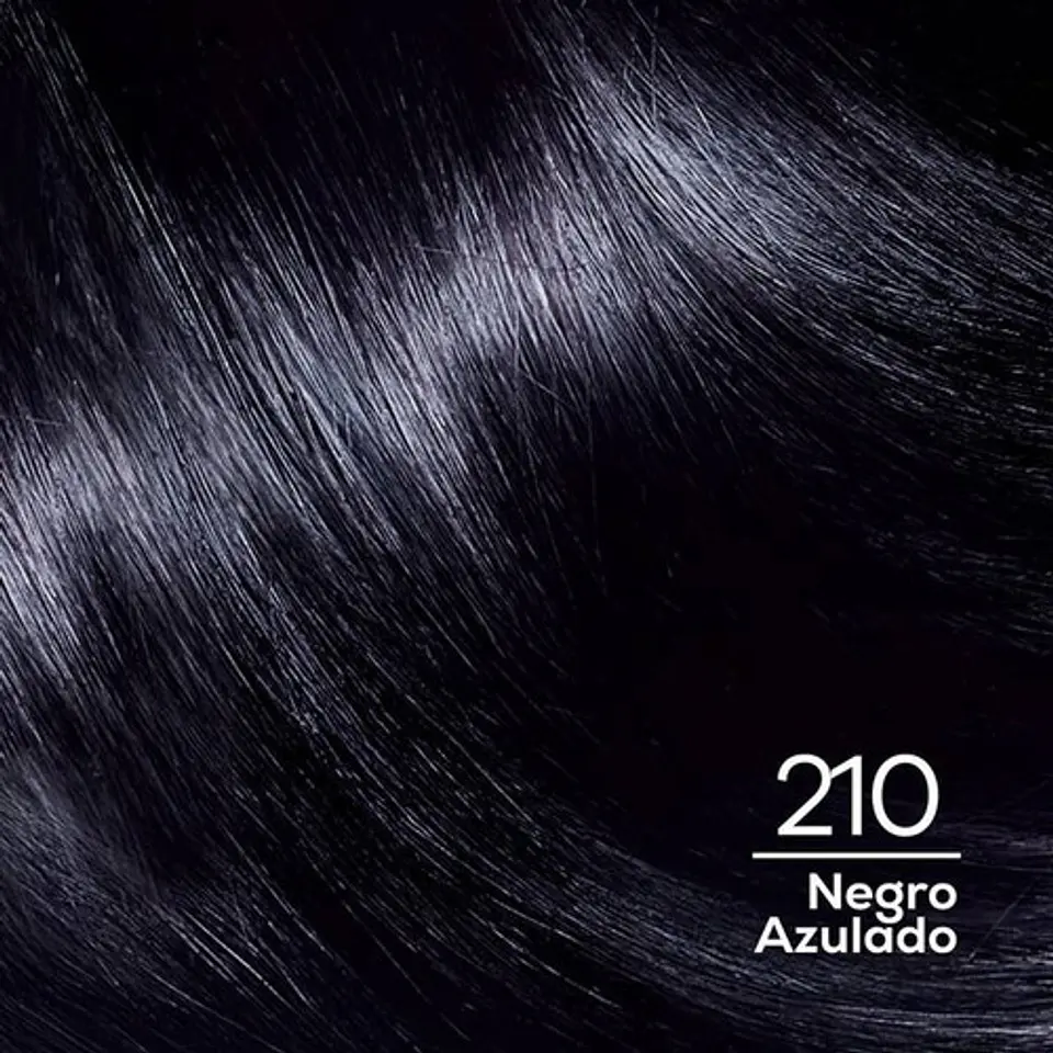 Tintura Casting Creme Gloss 210 Negro Azulado L'oréal 210 Nego Azulado 7
