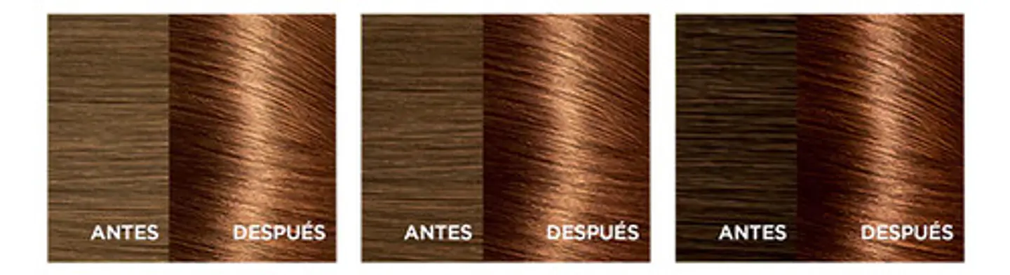Tintura Excellence Creme 6.34 Rubio Oscuro Chocolate L'oréal 8