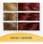 Tintura Permanente Hidratante Soft Color Caoba 55 Wella - Miniatura 4