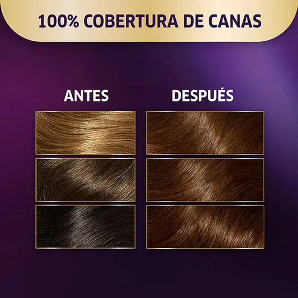 Koleston Tintura Permanente Hidratante Castaño Oscuro 34 6
