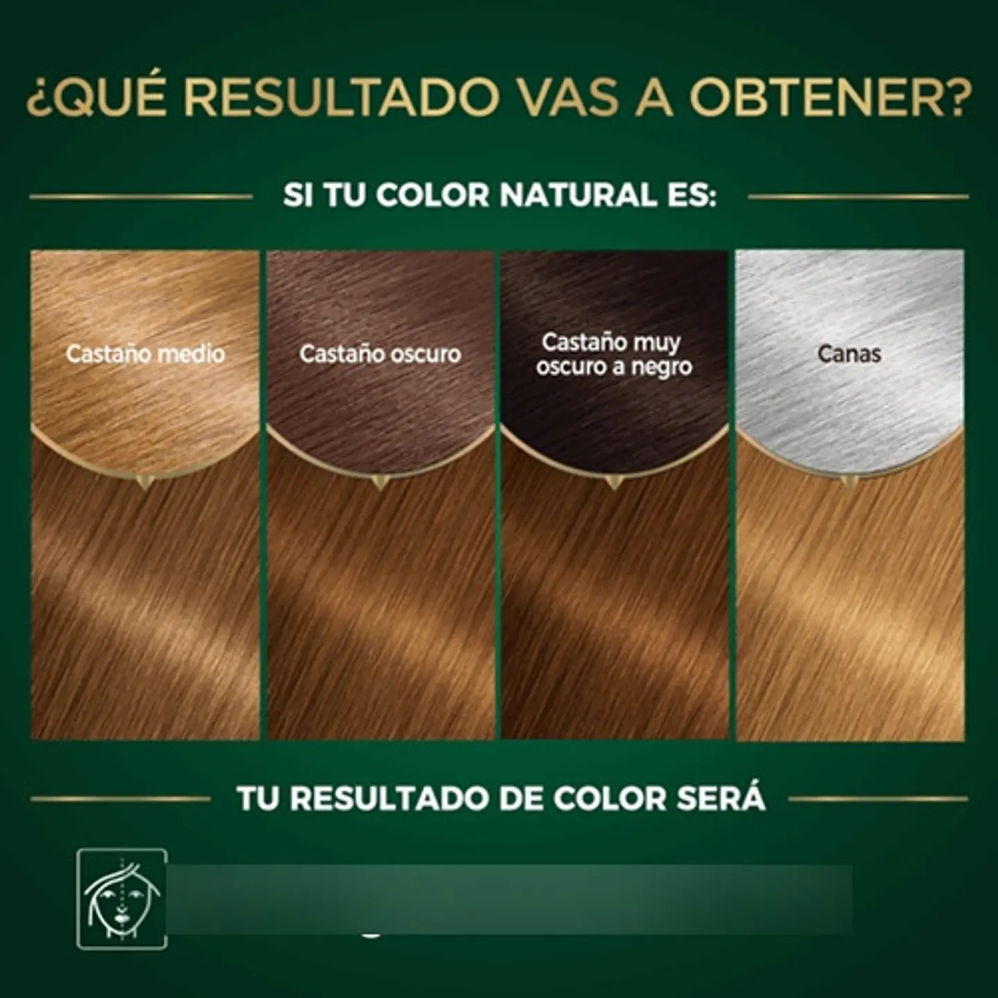 Tintura Garnier Nutrisse Oleos 7.3 Rubio Dorado 5
