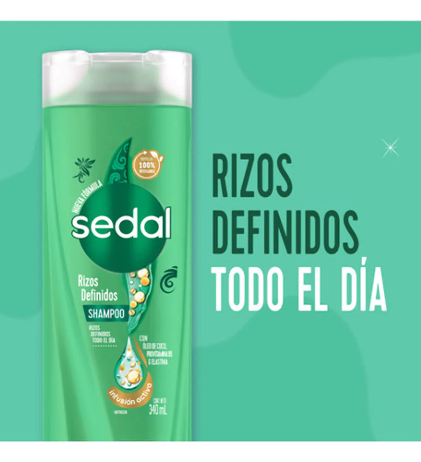 Sedal Shampoo Rizos Definidos X 340ml 3