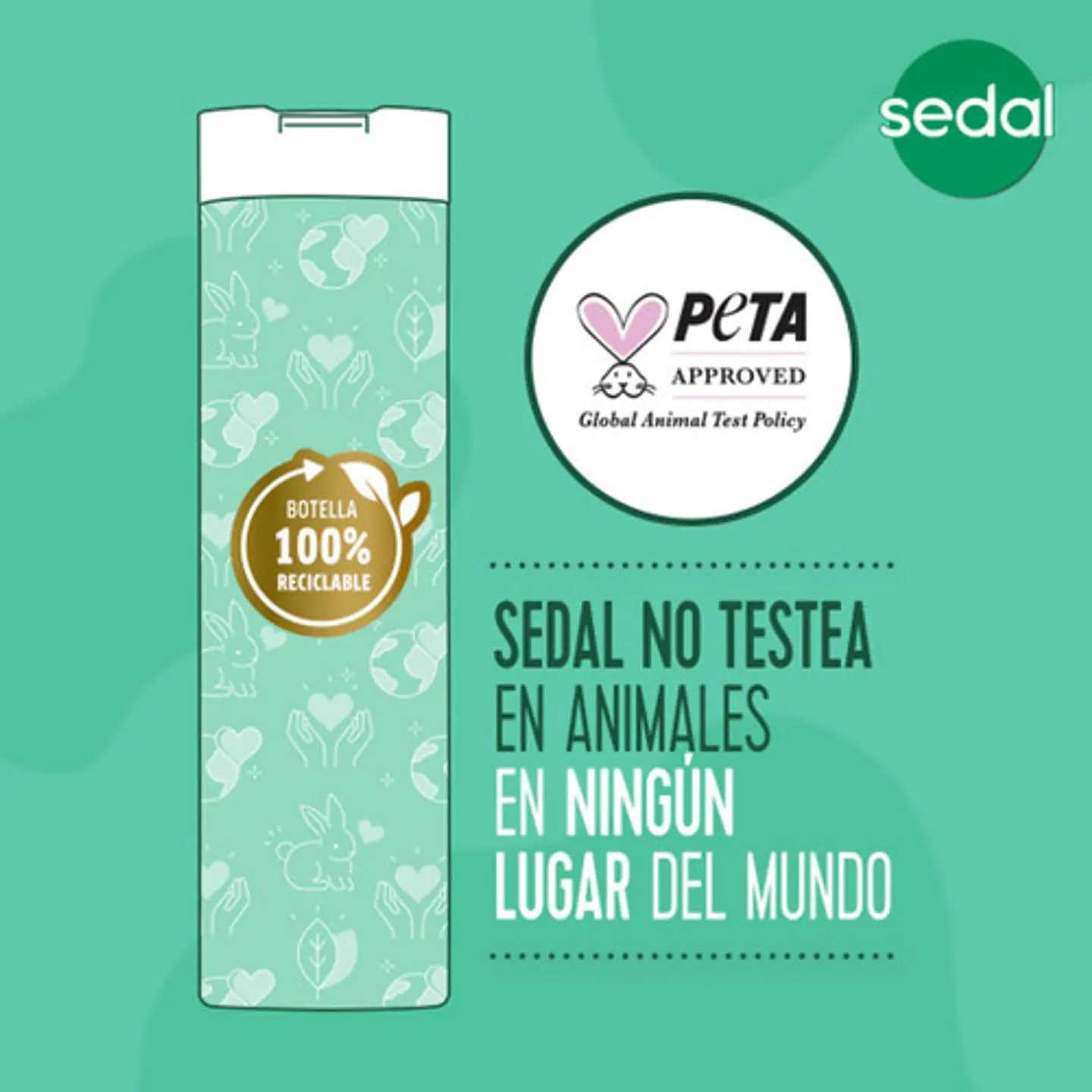 Sedal Shampoo Rizos Definidos X 340ml 6