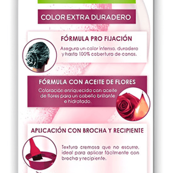 Coloración Nutrisse Cor Intensa Garnier Tintura Capilar Permanente Cor Intensa Tono Rojo Pasion Para Cabello X 45g 1