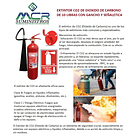 EXTINTOR CO2 DE DIOXIDO DE CARBONO DE 10 LIBRAS CON GANCHO Y SEÑALETICA 2
