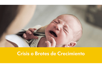 Crisis o Brotes de Crecimiento