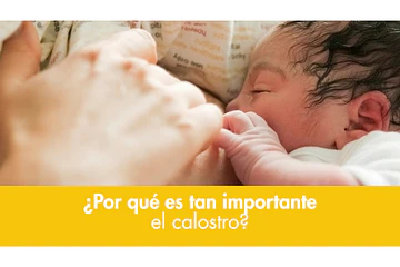 ¿Por qué es tan importante el calostro?