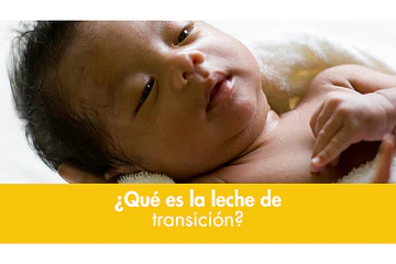 ¿Qué es la leche de transición?