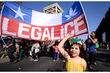 Los avances que lleva el Estado de Chile para que el autocultivo y la cannabis medicinal sean legales (2016)
