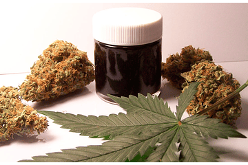 La Florida inicia primer estudio clínico de cannabis medicinal para tratar el cáncer de mama y de pulmón. (2014)