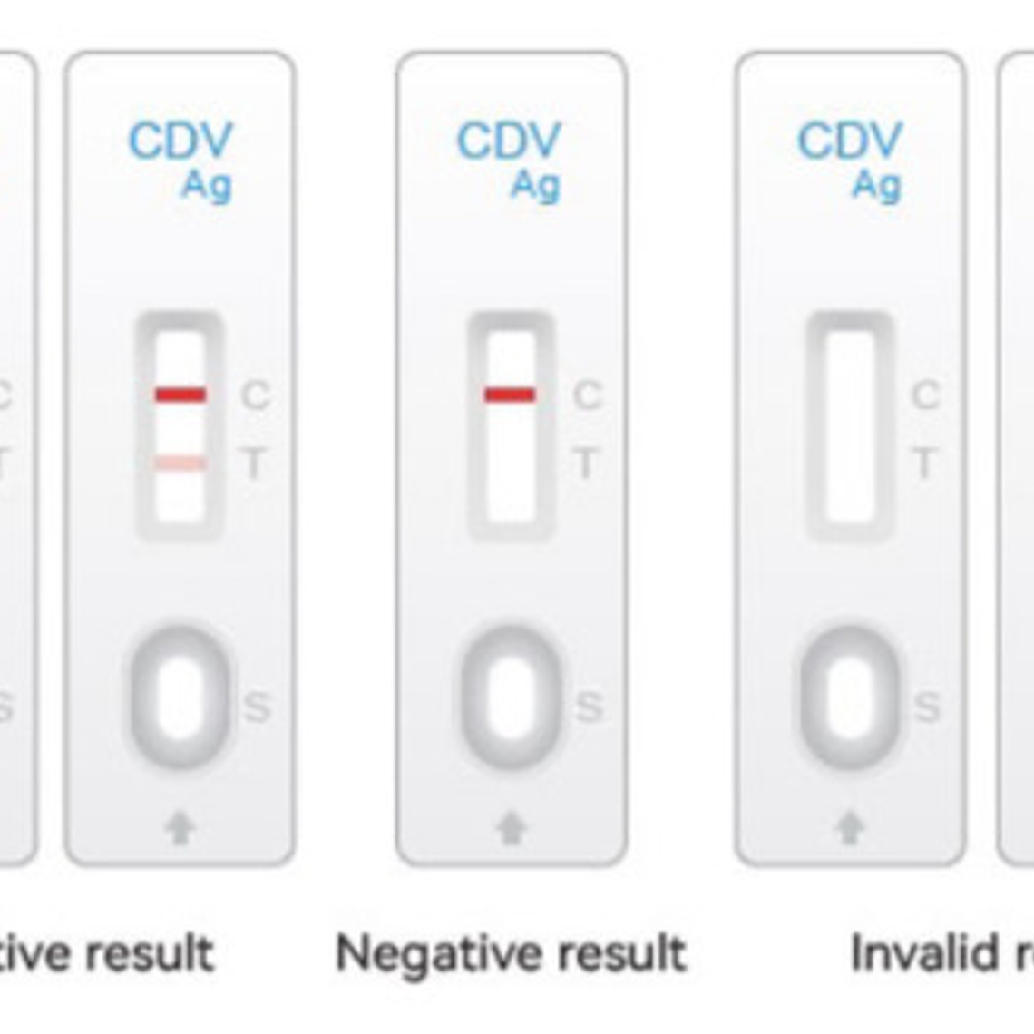 Test Rápido Distemper Canino Cdv, Caja 20 Uds, Veterinario 3