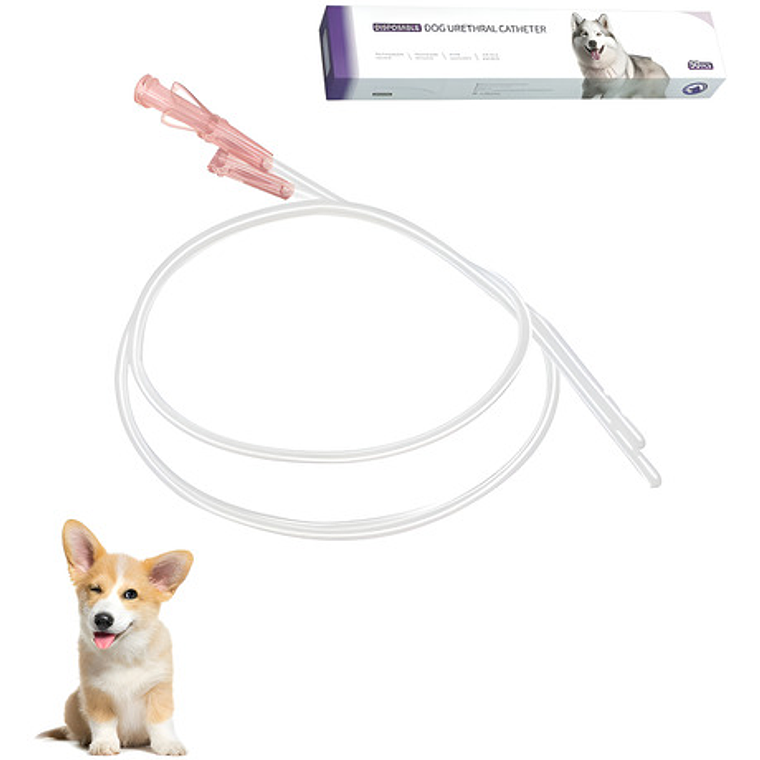 Catéter Urinario Perro Con Estilete, 4fr- 1.3 X 500mm, 1 Und 1