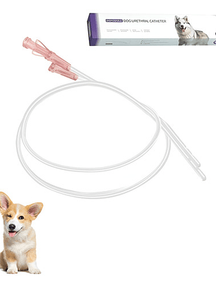 Catéter Urinario Perro Con Estilete, 6fr- 2.0 X 500mm, 1 Und