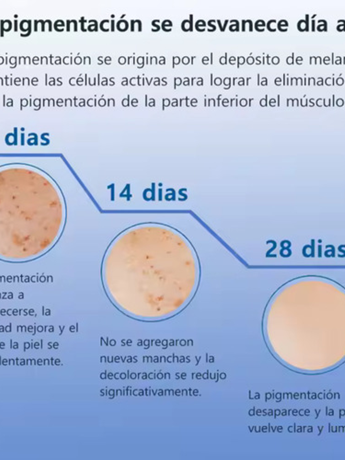 Serum Anti Manchas, Vitamina C + Nicotinamida, Frasco 30ml 2