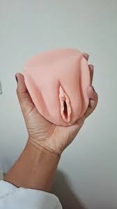 VULVA EDUCATIVA
