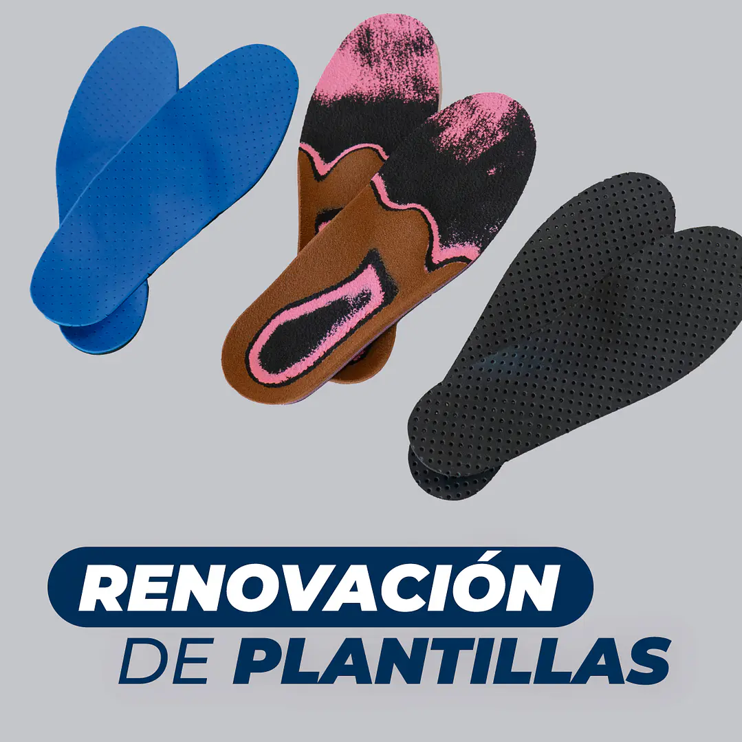 Renovación de Plantillas 3D  1