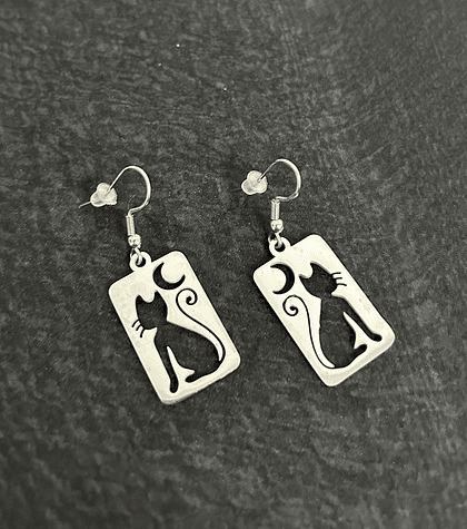 Stainless Steel Earrings