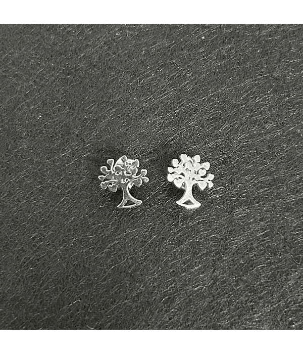 Stainless Steel Earrings