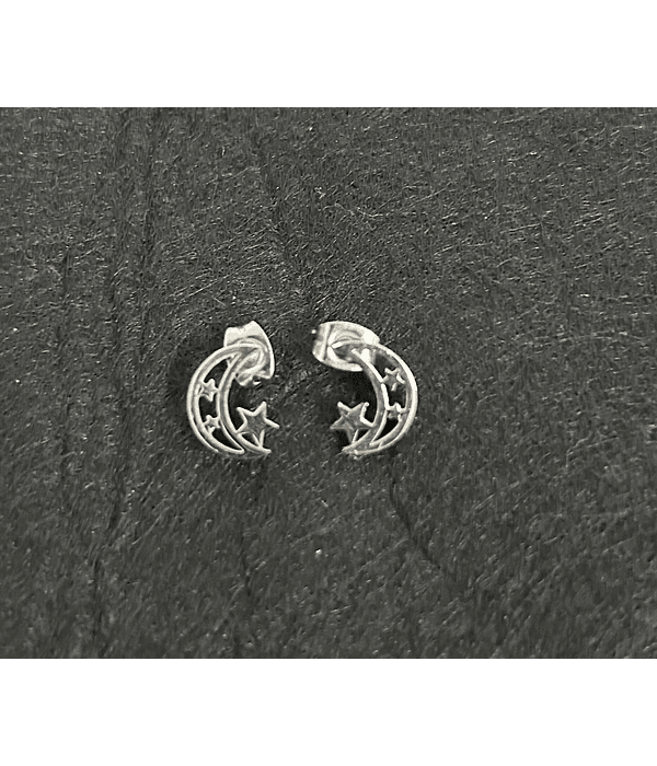 Stainless Steel Earrings