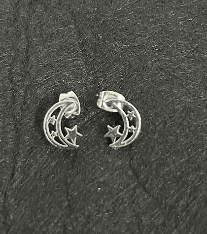 Stainless Steel Earrings