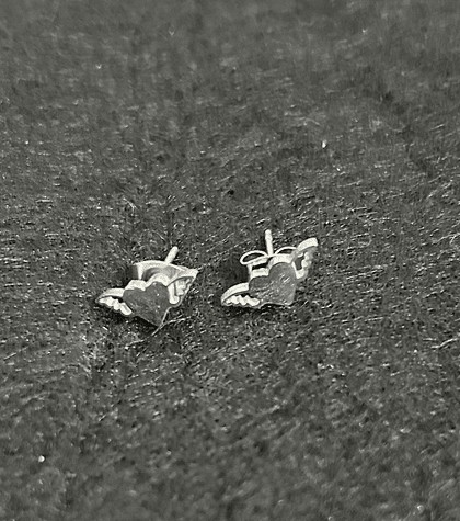 Stainless Steel Earrings