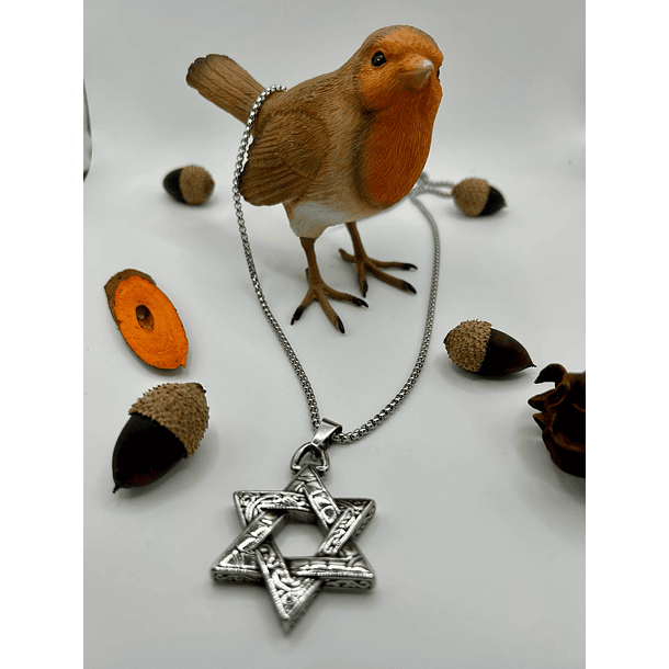 STAR - Stainless Steel Necklace