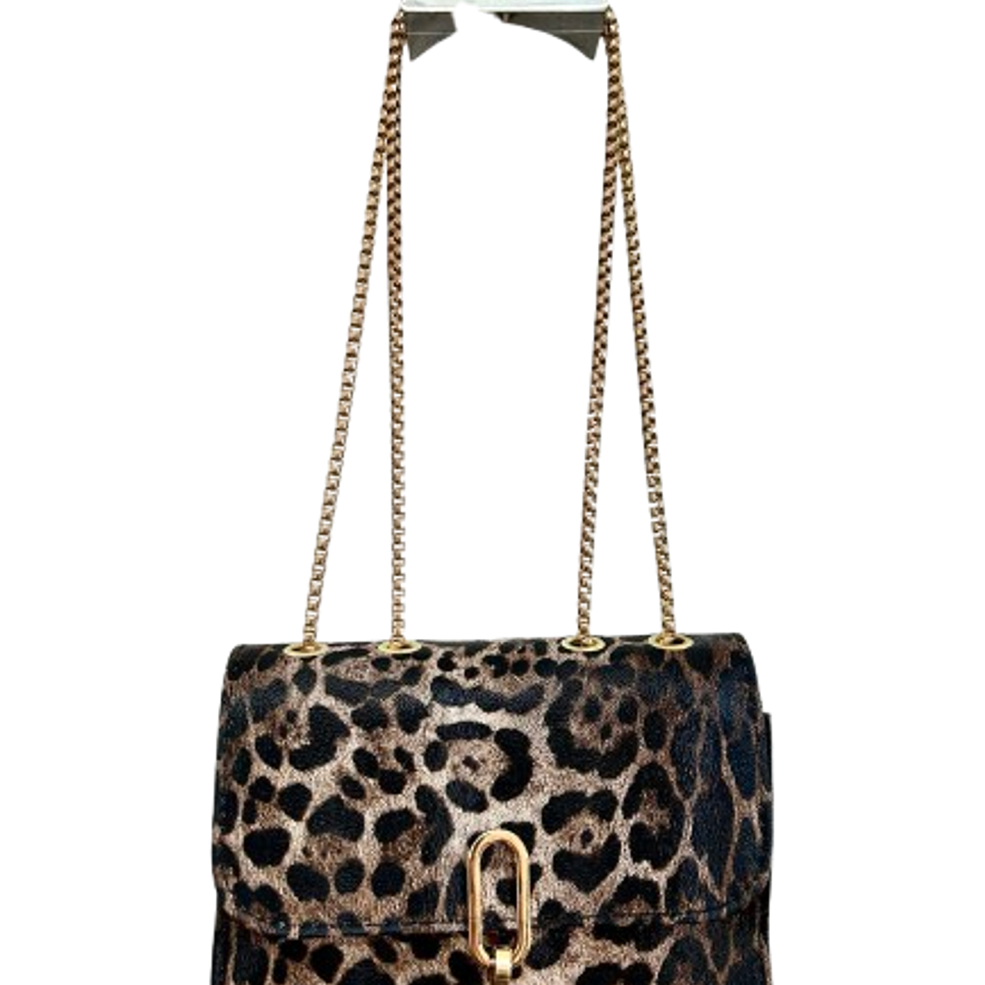 Leopard print bag 2