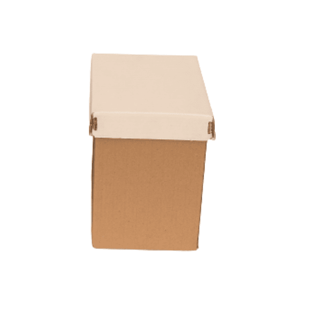 Bacha de Piña de 10 litros  