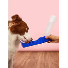 Botella de agua de viaje portátil para mascotas (botilito) 1