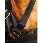 Cinturón de seguridad para mascota para carro 4