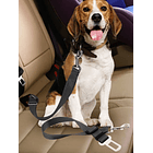 Cinturón de seguridad para mascota para carro 1