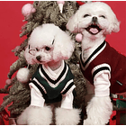 Suéter de estilo universitario para MASCOTA  2