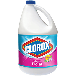 Blanqueador Clorox 3800 ml Floral