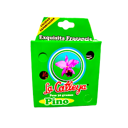 Ambientador Pasta La Catleya 30 gr Pino