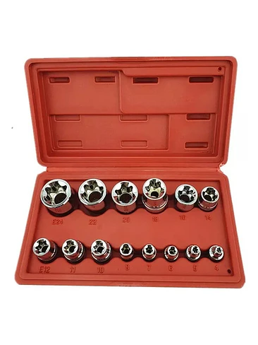 Kit Set Juego De Dados Torx Estrella Hembra 14 Piezas 1
