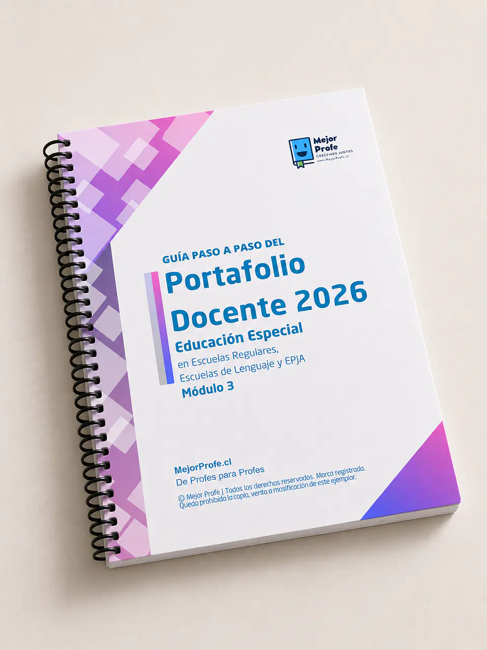 Pack Guía Paso a Paso del Portafolio Docente 2026 — Educación Especial / Diferencial (PIE), Escuelas regulares... 4