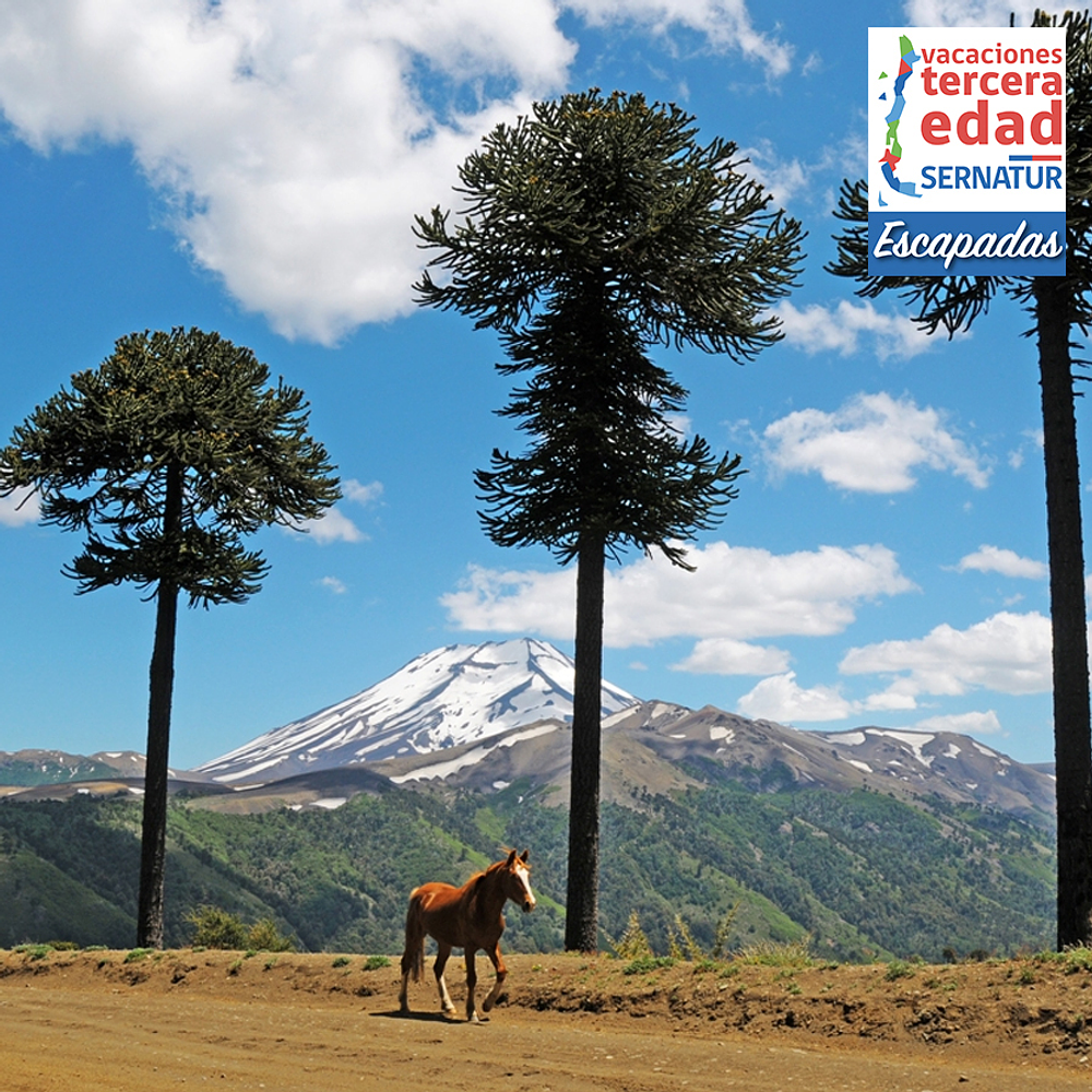 DE TEMUCO A LONQUIMAY