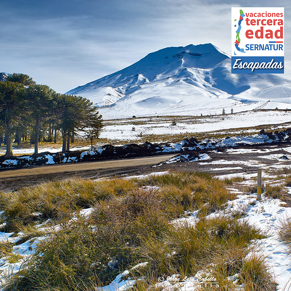 DE CONCEPCIÓN A LONQUIMAY