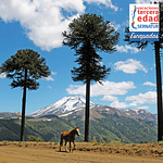 DE TEMUCO A VALLE LAS TRANCAS