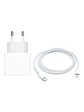 Cargador 20W Usb Tipo C + Cable Usb Tipo C iPhone 12 Pro Max - Miniatura 1
