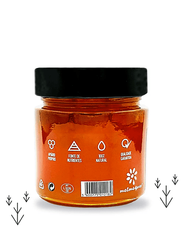HONEY WITH COMB - 300g