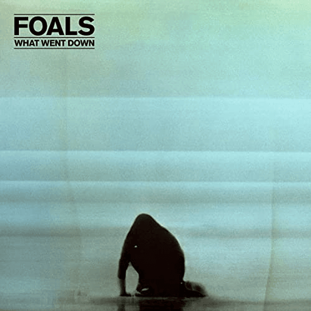 CD Foals - What Went Down