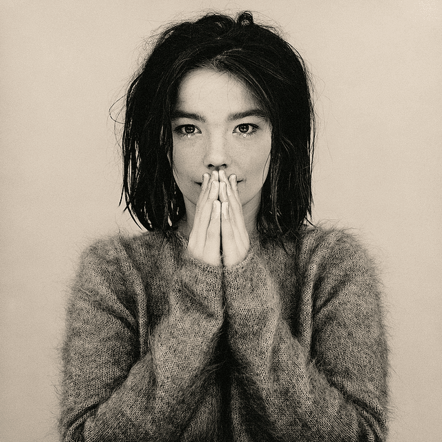 Vinilo Björk – Debut
