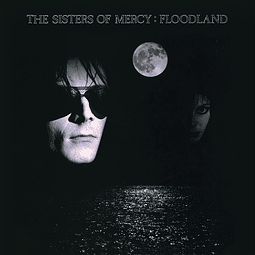 Vinilo The Sisters Of Mercy – Floodland