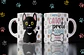 4 Paws Cat and Kitten Collection - thumbnail 1